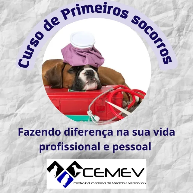 Curso de Primeiros Socorros em Cães