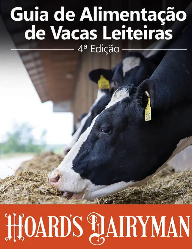 Guia De Alimentação